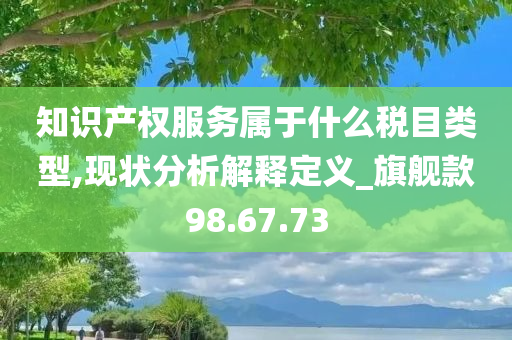 知识产权服务属于什么税目类型,现状分析解释定义_旗舰款98.67.73