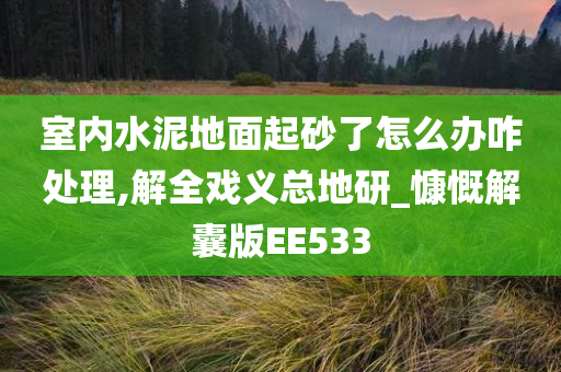 室内水泥地面起砂了怎么办咋处理,解全戏义总地研_慷慨解囊版EE533