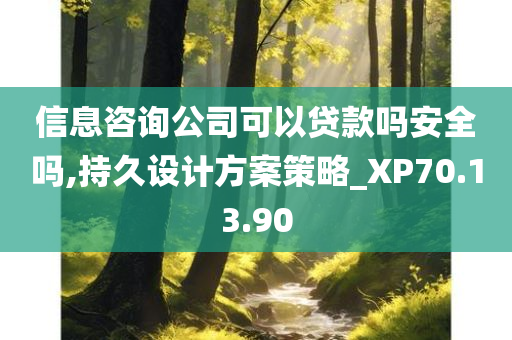 信息咨询公司可以贷款吗安全吗,持久设计方案策略_XP70.13.90