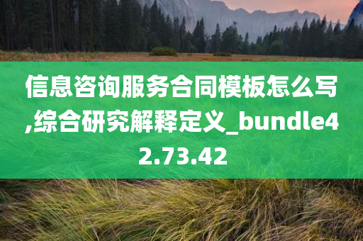 信息咨询服务合同模板怎么写,综合研究解释定义_bundle42.73.42