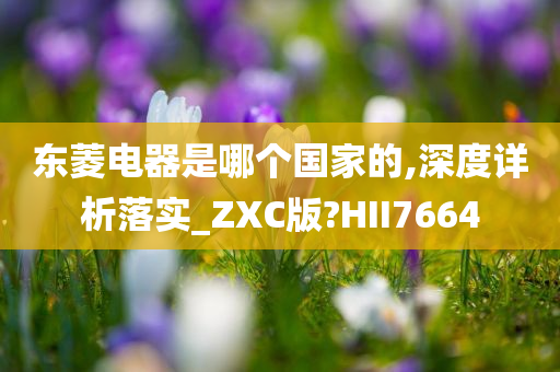 东菱电器是哪个国家的,深度详析落实_ZXC版?HII7664