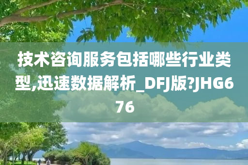 技术咨询服务包括哪些行业类型,迅速数据解析_DFJ版?JHG676