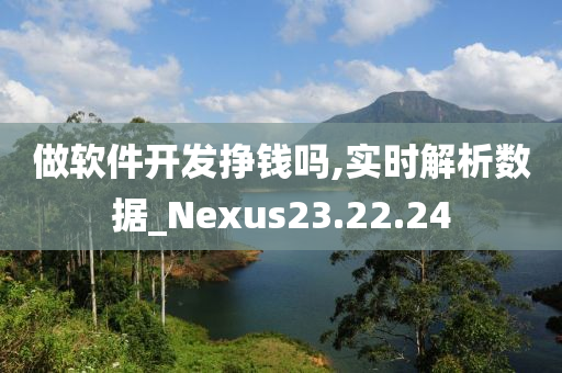 做软件开发挣钱吗,实时解析数据_Nexus23.22.24