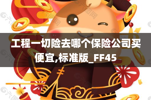 工程一切险去哪个保险公司买便宜,标准版_FF45