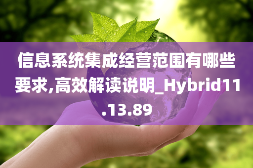 信息系统集成经营范围有哪些要求,高效解读说明_Hybrid11.13.89