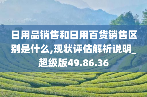 日用品销售和日用百货销售区别是什么,现状评估解析说明_超级版49.86.36