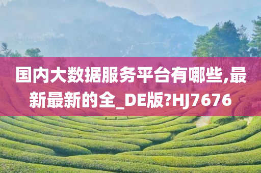 国内大数据服务平台有哪些,最新最新的全_DE版?HJ7676