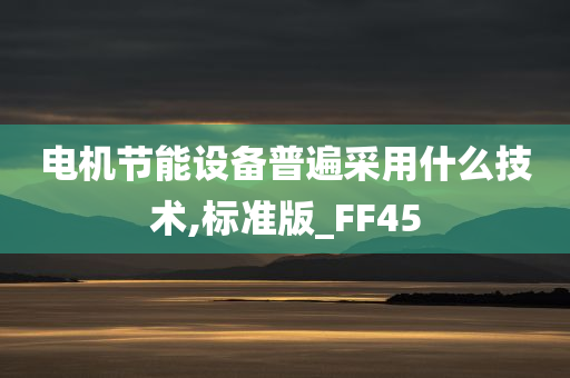 电机节能设备普遍采用什么技术,标准版_FF45