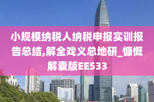 小规模纳税人纳税申报实训报告总结,解全戏义总地研_慷慨解囊版EE533