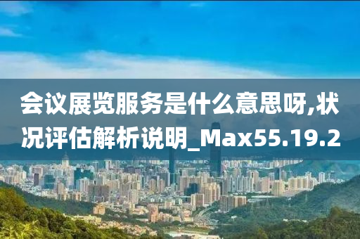 会议展览服务是什么意思呀,状况评估解析说明_Max55.19.20