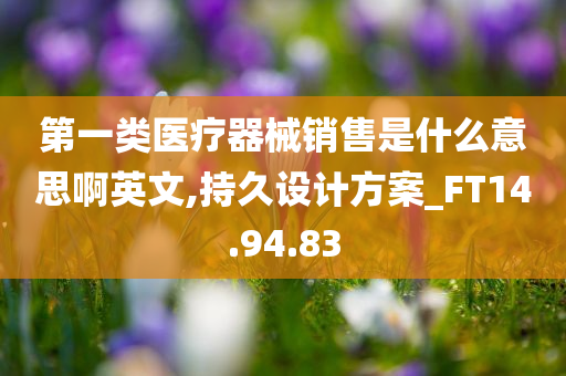 第一类医疗器械销售是什么意思啊英文,持久设计方案_FT14.94.83