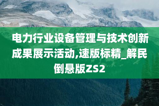 电力行业设备管理与技术创新成果展示活动,速版标精_解民倒悬版ZS2