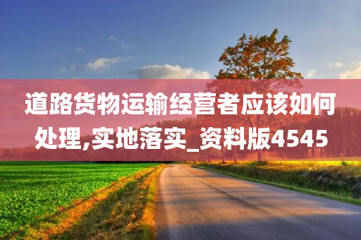 道路货物运输经营者应该如何处理,实地落实_资料版4545