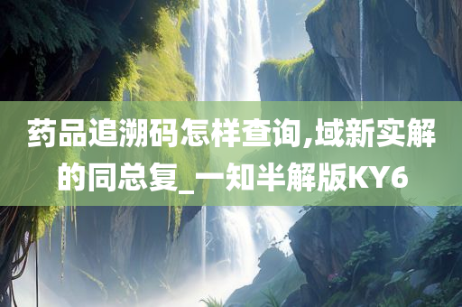 药品追溯码怎样查询,域新实解的同总复_一知半解版KY6