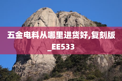 五金电料从哪里进货好,复刻版_EE533