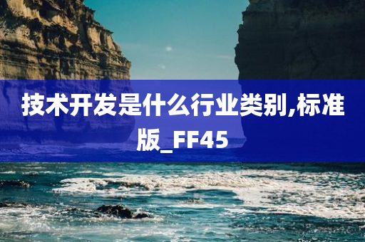 技术开发是什么行业类别,标准版_FF45