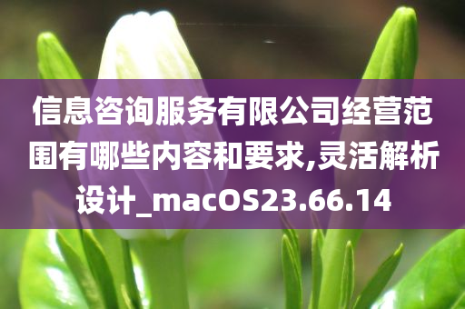 信息咨询服务有限公司经营范围有哪些内容和要求,灵活解析设计_macOS23.66.14