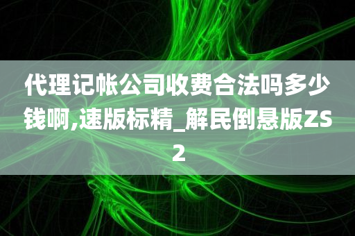 代理记账 第30页