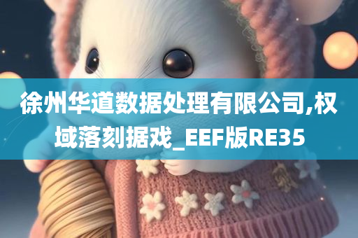 徐州华道数据处理有限公司,权域落刻据戏_EEF版RE35