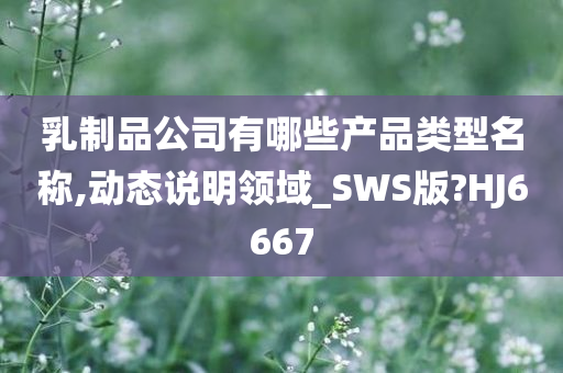 乳制品公司有哪些产品类型名称,动态说明领域_SWS版?HJ6667