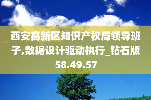 西安高新区知识产权局领导班子,数据设计驱动执行_钻石版58.49.57