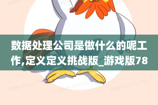 数据处理公司是做什么的呢工作,定义定义挑战版_游戏版78