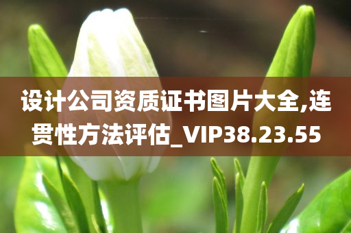 设计公司资质证书图片大全,连贯性方法评估_VIP38.23.55