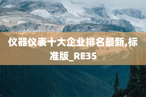 仪器仪表十大企业排名最新,标准版_RE35