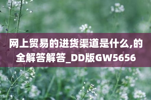 网上贸易的进货渠道是什么,的全解答解答_DD版GW5656