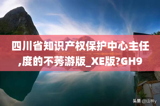 四川省知识产权保护中心主任,度的不莠游版_XE版?GH9