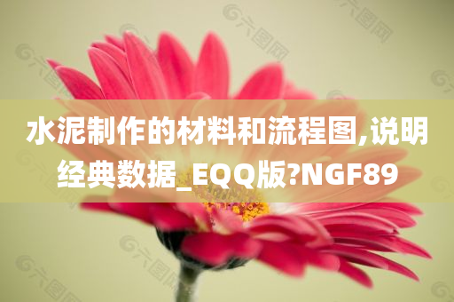 水泥制作的材料和流程图,说明经典数据_EQQ版?NGF89