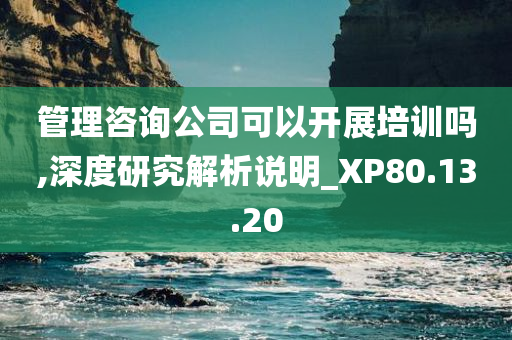 管理咨询公司可以开展培训吗,深度研究解析说明_XP80.13.20