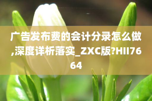 广告发布费的会计分录怎么做,深度详析落实_ZXC版?HII7664