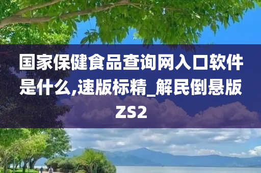 国家保健食品查询网入口软件是什么,速版标精_解民倒悬版ZS2