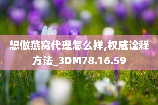 想做燕窝代理怎么样,权威诠释方法_3DM78.16.59