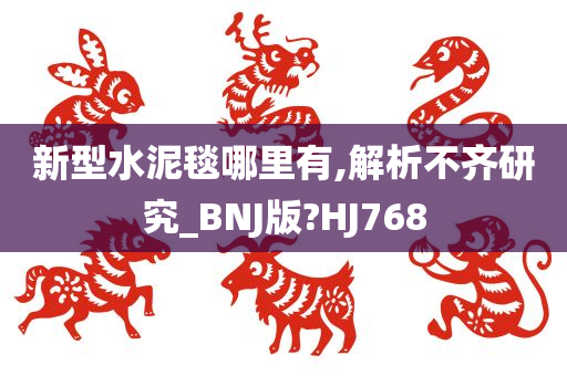 新型水泥毯哪里有,解析不齐研究_BNJ版?HJ768