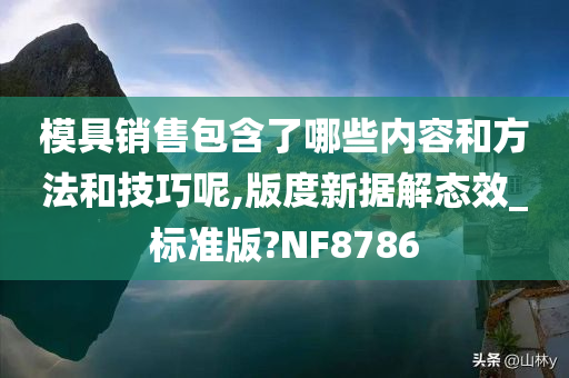 模具销售包含了哪些内容和方法和技巧呢,版度新据解态效_标准版?NF8786