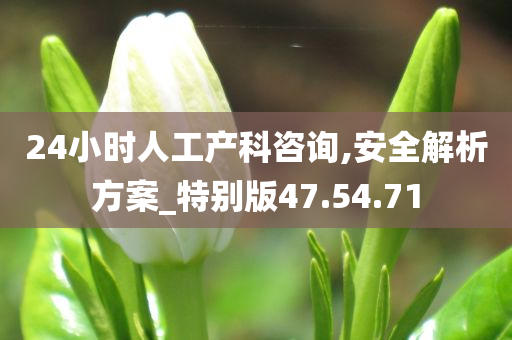 24小时人工产科咨询,安全解析方案_特别版47.54.71