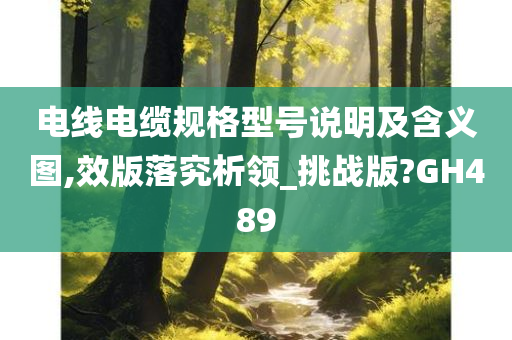 电线电缆规格型号说明及含义图,效版落究析领_挑战版?GH489