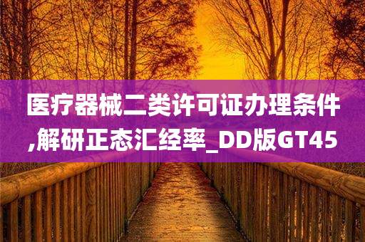 医疗器械二类许可证办理条件,解研正态汇经率_DD版GT45