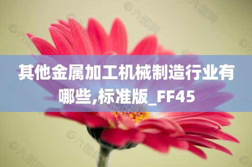 其他金属加工机械制造行业有哪些,标准版_FF45