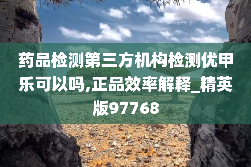 药品检测第三方机构检测优甲乐可以吗,正品效率解释_精英版97768