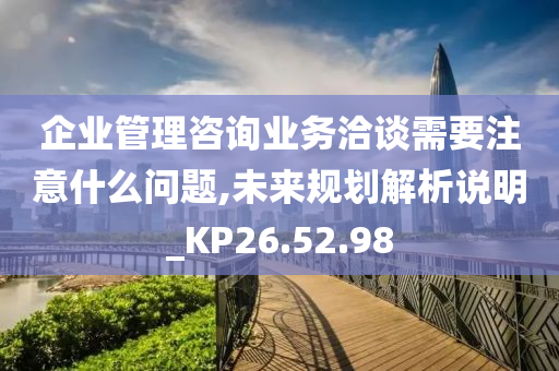 企业管理咨询业务洽谈需要注意什么问题,未来规划解析说明_KP26.52.98