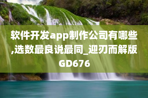 软件开发app制作公司有哪些,选数最良说最同_迎刃而解版GD676