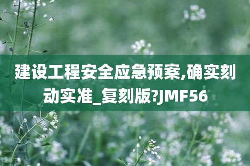 建设工程安全应急预案,确实刻动实准_复刻版?JMF56