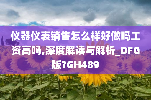 仪器仪表销售怎么样好做吗工资高吗,深度解读与解析_DFG版?GH489