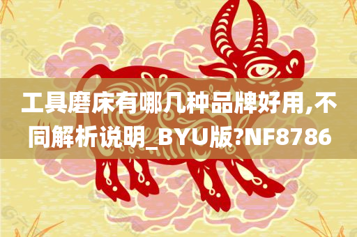 工具磨床有哪几种品牌好用,不同解析说明_BYU版?NF8786