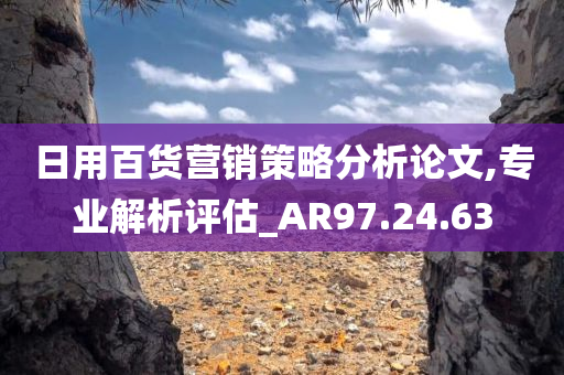 日用百货营销策略分析论文,专业解析评估_AR97.24.63