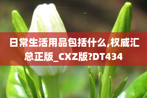 日常生活用品包括什么,权威汇总正版_CXZ版?DT434