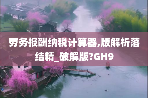 劳务报酬纳税计算器,版解析落结精_破解版?GH9